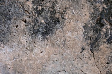 Çatallı grunge beton duvar