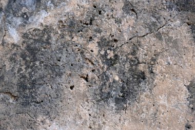 Çatallı grunge beton duvar