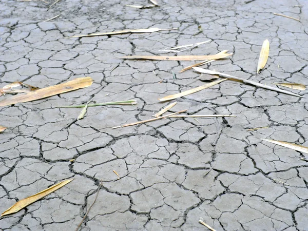 Nahaufnahme trockener Böden in trockenem Klima — Stockfoto