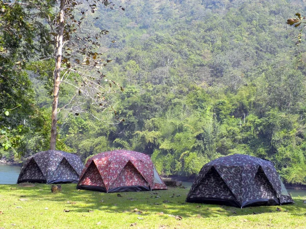 Туристическая палатка в лесном лагере — стоковое фото