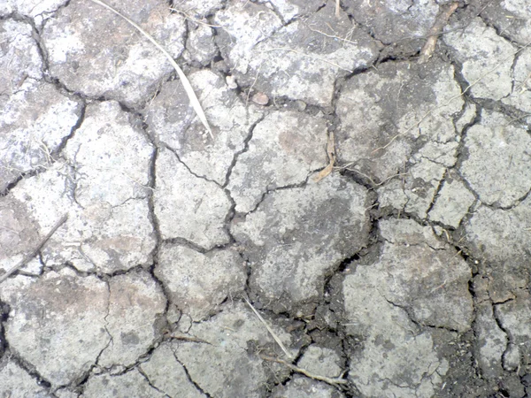 Primer plano del suelo seco en clima árido —  Fotos de Stock