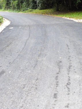 sonbahar parkın içinden yol