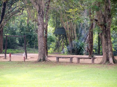 Ahşap ahşap tezgah orman Park