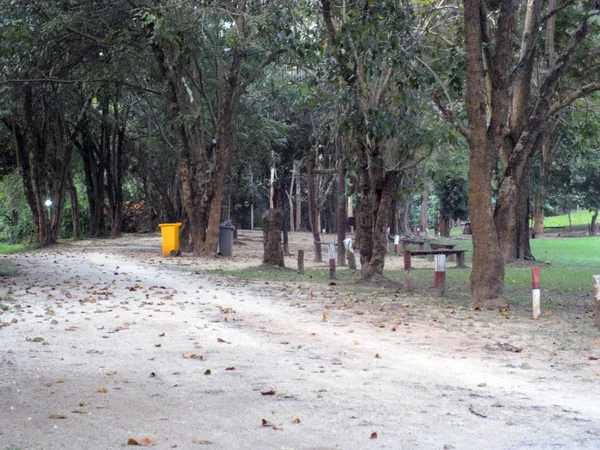 La strada attraverso il parco autunnale — Foto Stock