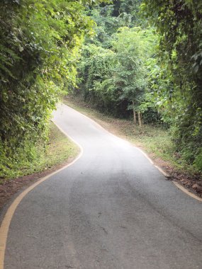 eğri asfalt yol görünümü 