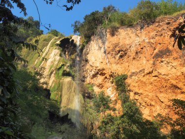 tropikal bitki örtüsü ile çevrili bir şelale