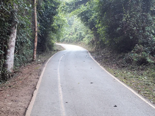 Curve asphalt road view — Stock Photo, Image