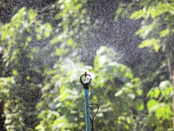 Water springer — Stock Photo, Image