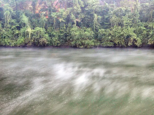 Річка і туман — стокове фото