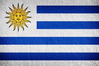 Grunge duvara boyalı uruguay bayrağı 