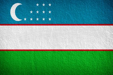 Grunge duvara boyalı Özbekistan bayrağı 