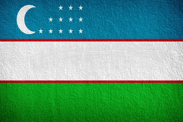 Прапор Узбекистану, намальовані на стіні гранж — стокове фото