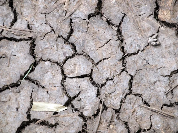 Gros plan sur les sols secs en climat aride — Photo