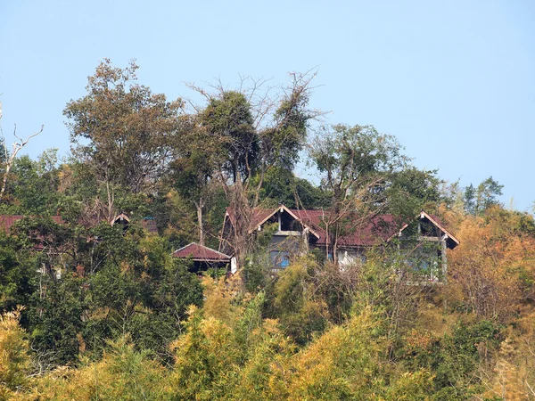 House is behind trees in a forest — Stock Photo, Image