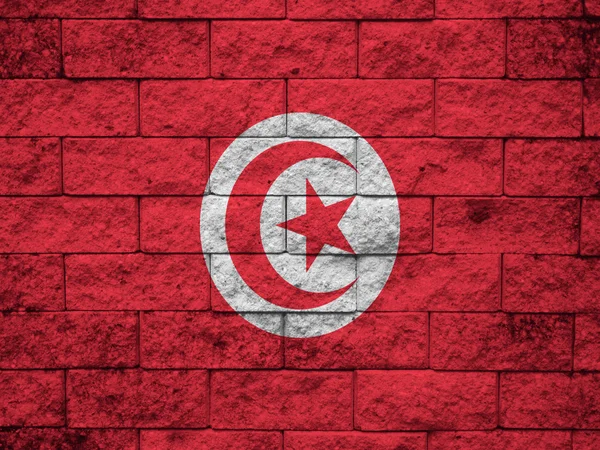 Tunisia flag and red wall background — Stock Photo, Image