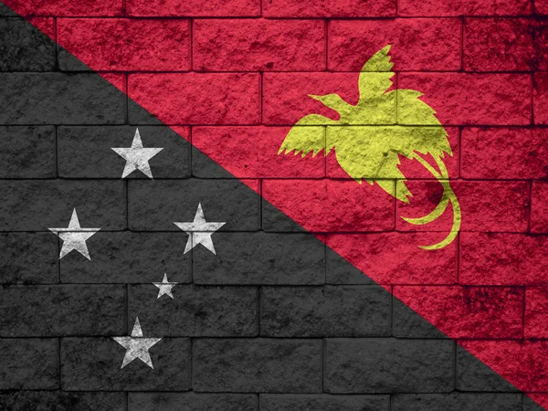 Pápua Új-guinea zászló festett falra grunge — Stock Fotó