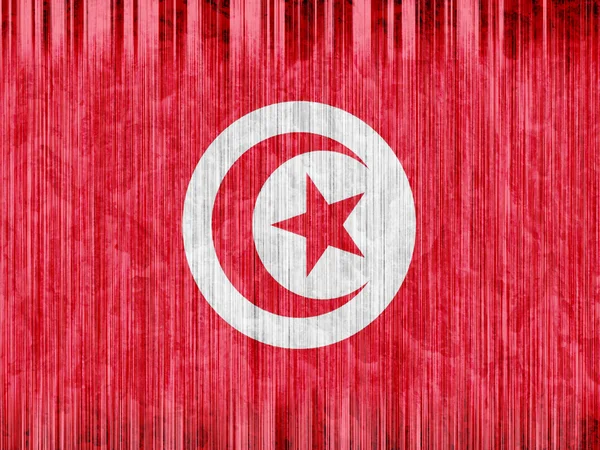 Tunisia flag paper texture — Stock Photo, Image