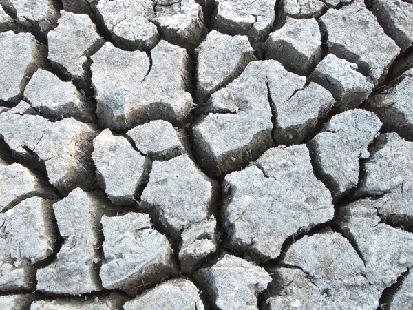 Barren ground horizontal — Stock Photo, Image