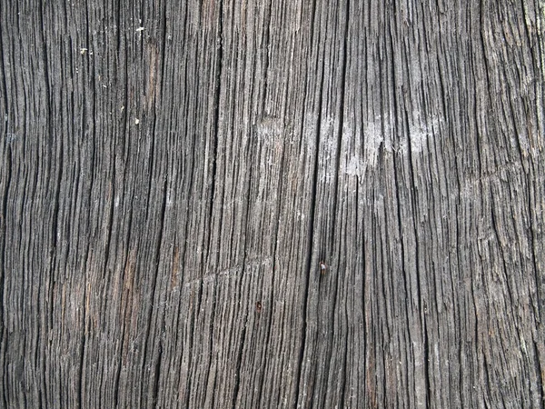 Wood texture — Stock Photo, Image