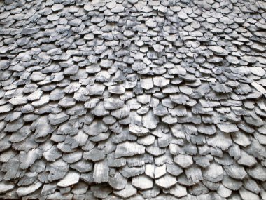 desenli çatı ormanları