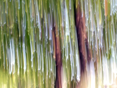 bulanık hareket yeşillik