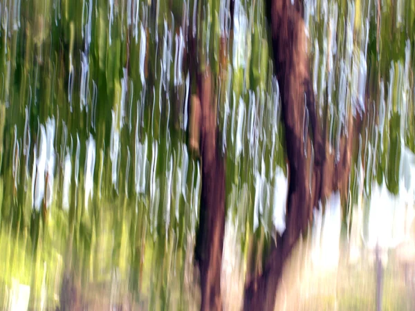 Bewegung verschwimmt — Stockfoto