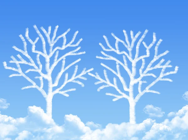 Forma di nube di albero senza foglie — Foto Stock