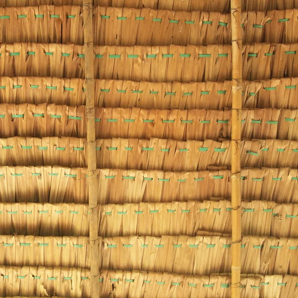 Close up straw background. Texture of thatch roof — Stock Photo, Image