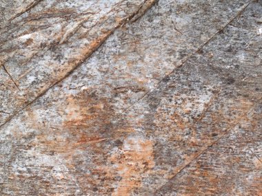 Grunge çimento duvar 