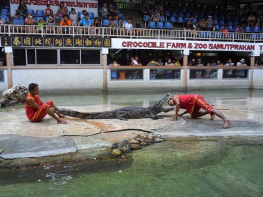 Samutprakarn, Tayland - 2 Ağustos 2014: Timsah Timsah çiftliği Samutprakarn, Tayland için göstermek. Bu heyecan verici göstermeleridir turist ve Tay insanlar arasında çok ünlü arasında