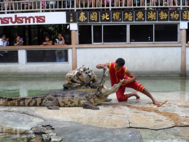 Samutprakarn, Tayland - 2 Ağustos 2014: Timsah Timsah çiftliği Samutprakarn, Tayland için göstermek. Bu heyecan verici göstermeleridir turist ve Tay insanlar arasında çok ünlü arasında
