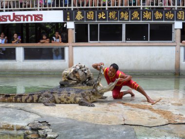 Samutprakarn, Tayland - 2 Ağustos 2014: Timsah Timsah çiftliği Samutprakarn, Tayland için göstermek. Bu heyecan verici göstermeleridir turist ve Tay insanlar arasında çok ünlü arasında