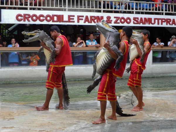 Samutprakarn,Thailand - August 2, 2014: crocodile show at crocodile farm in Samutprakarn,Thailand. This exciting show is very famous among among tourist and Thai people — Stock Photo, Image