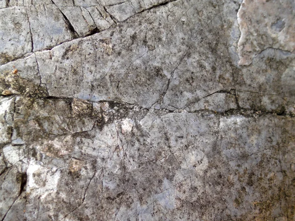 거무스름 한 암석의 질감 이 뒤범벅 이 된다 — 스톡 사진