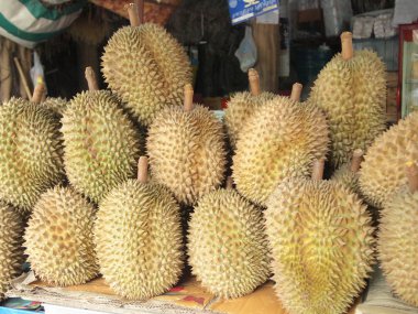 durian clipart