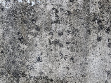 Grunge çimento duvar