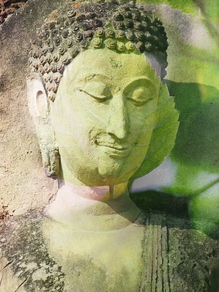Double exposure of Buddha statue with nature — Stock Photo, Image