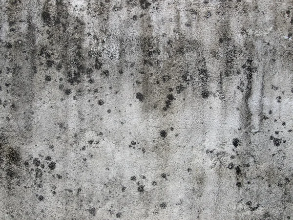 Pared de cemento grunge —  Fotos de Stock