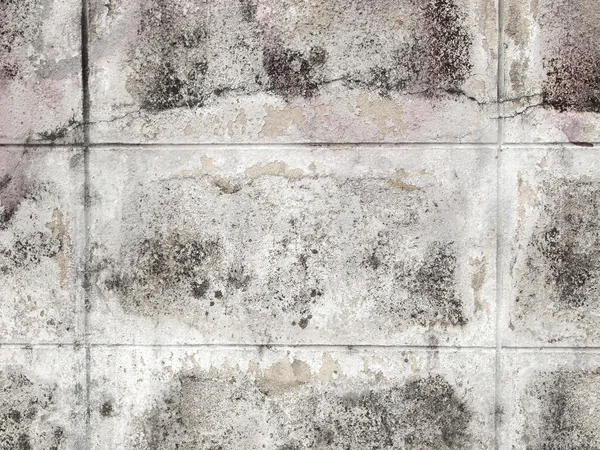 Grunge muro di cemento — Foto Stock