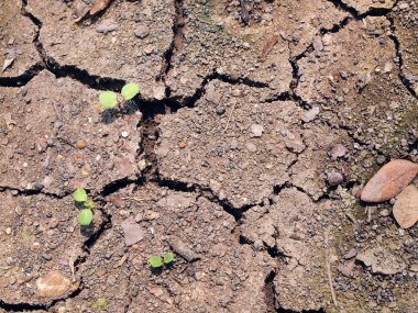 Kuru çatlamış toprak arkaplanı
