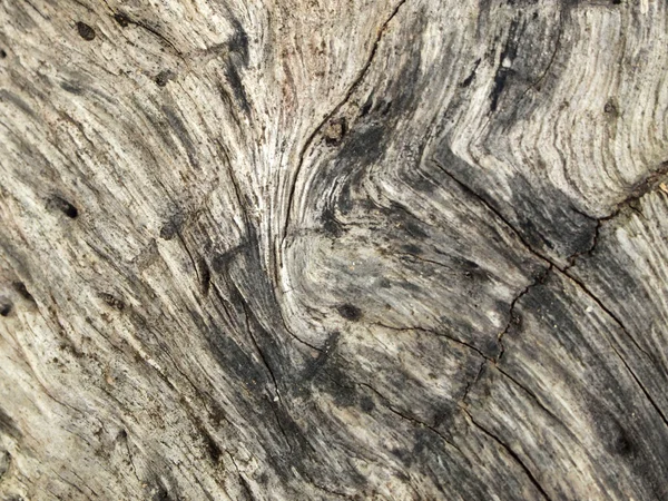 Фон деревини — стокове фото