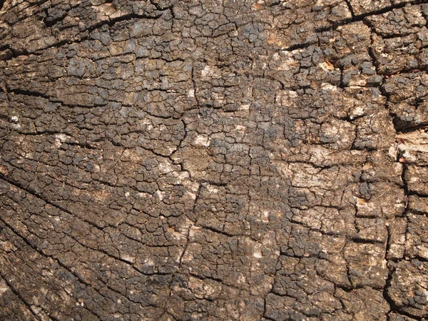 Madera de fondo — Foto de Stock