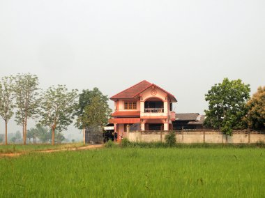 pirinç alan ve Köyü