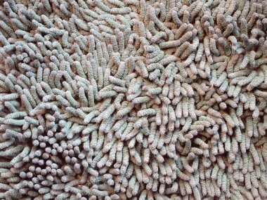 kahverengi kumaş dokusu