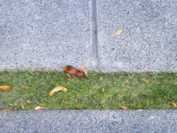 緑の芝生を背景に公園内の石のブロックの散歩道 — ストック写真