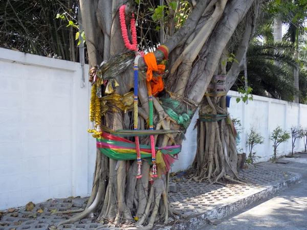 Färgglada trasa på träd, Thailändsk tradition — Stockfoto