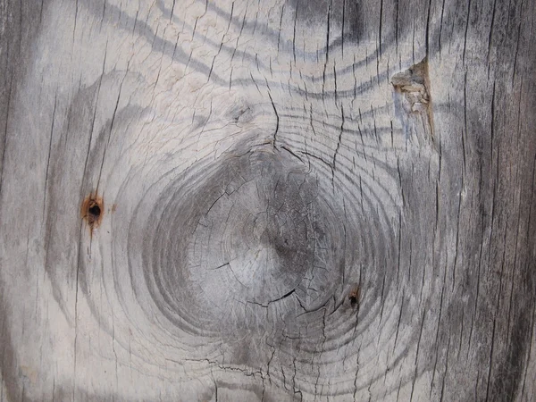 Madera de fondo — Foto de Stock