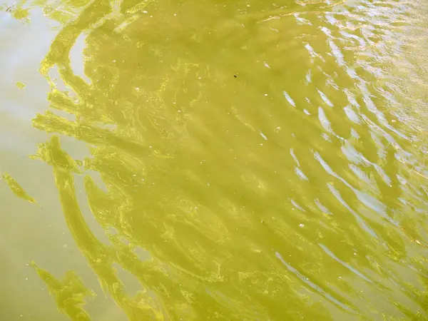 Água abstrato fundo close up — Fotografia de Stock