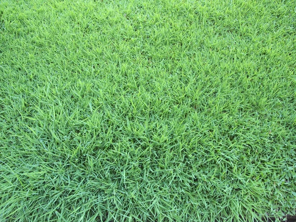 Textura de campo de césped artificial vista superior — Foto de Stock