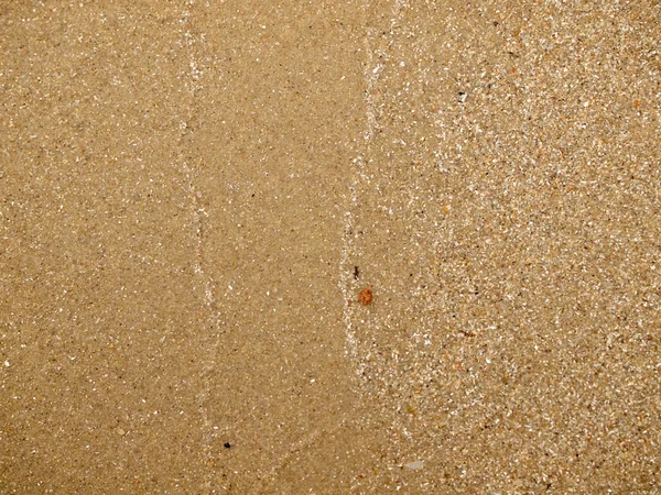 Sand background close up — Stock Photo, Image